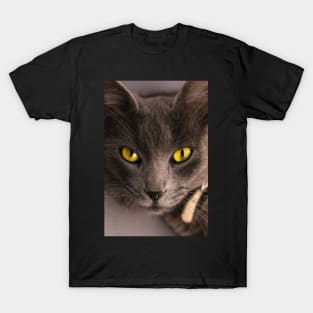 cat T-Shirt